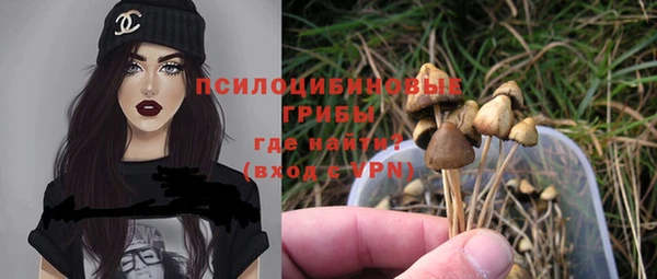 спайс Киренск