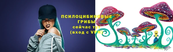 a pvp Карпинск