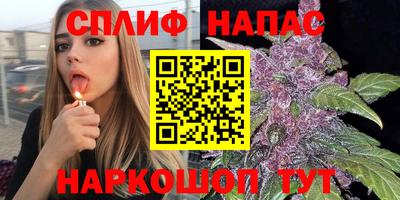 PSILOCYBIN Заводоуковск