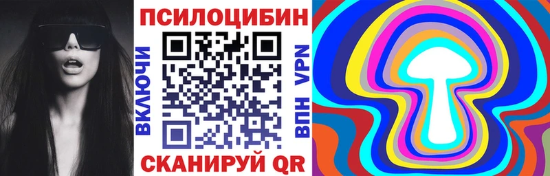 Галлюциногенные грибы GOLDEN TEACHER цены Клин