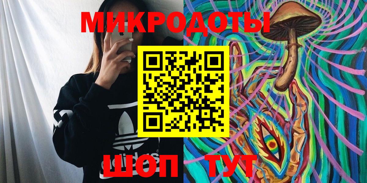 Псилоцибиновые грибы Psilocybe  Вход с VPN  Клин 