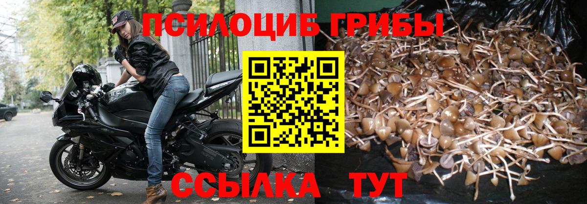 Галлюциногенные грибы прущие грибы Клин