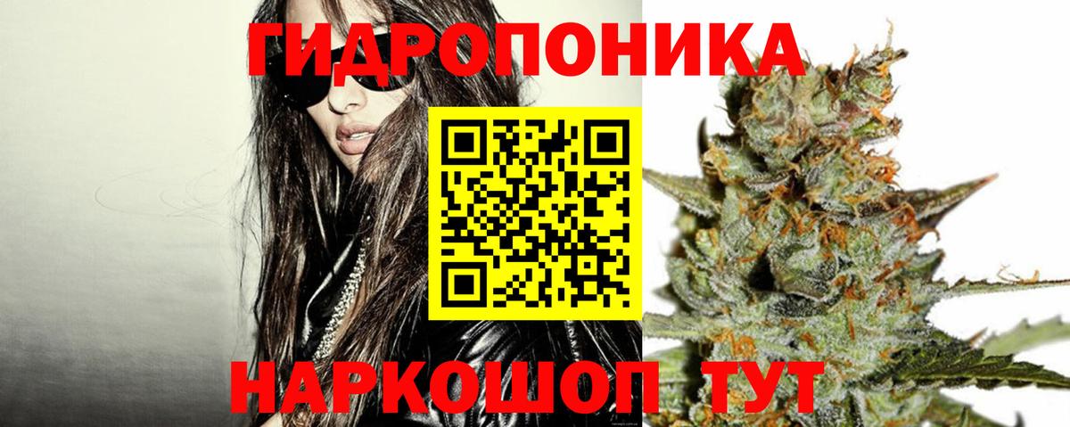 Конопля сатива  МАРИХУАНА Amnesia  Вход с VPN  Клин  Конопля THC 21% 